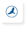 HawkSoft